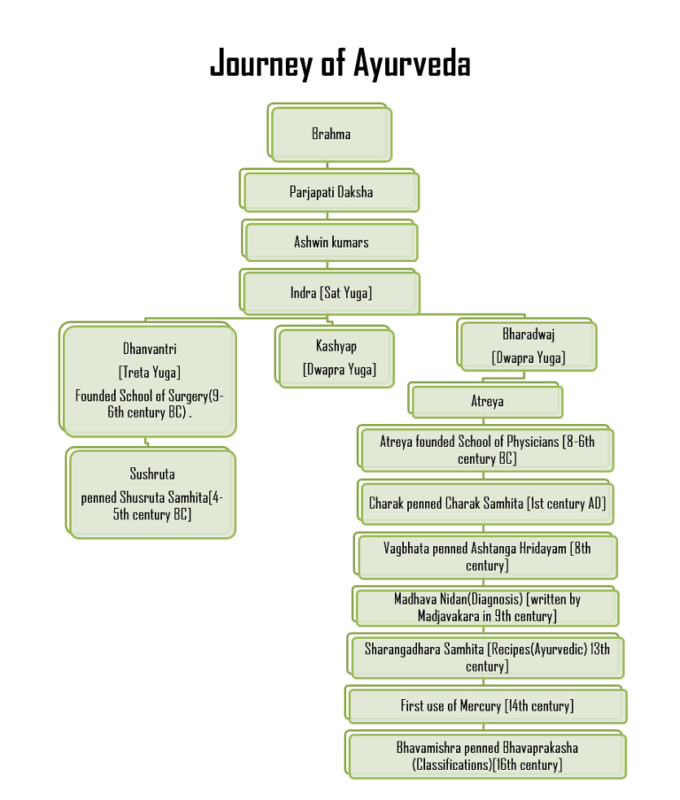 What is Ayurveda and Why Does it Matter Opt Natural Stay Healthy