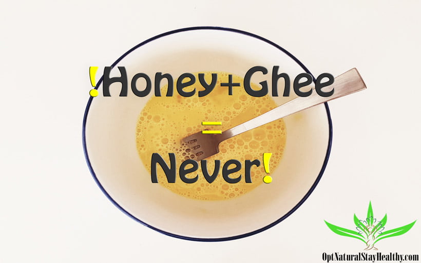 Never Mix Honey and Ghee together! Featured-Image
