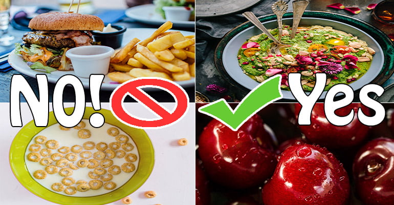 Processed food Yes-No