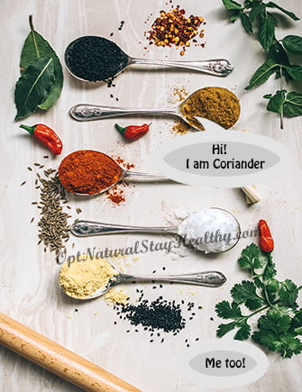 Fancy Image of Coriander
