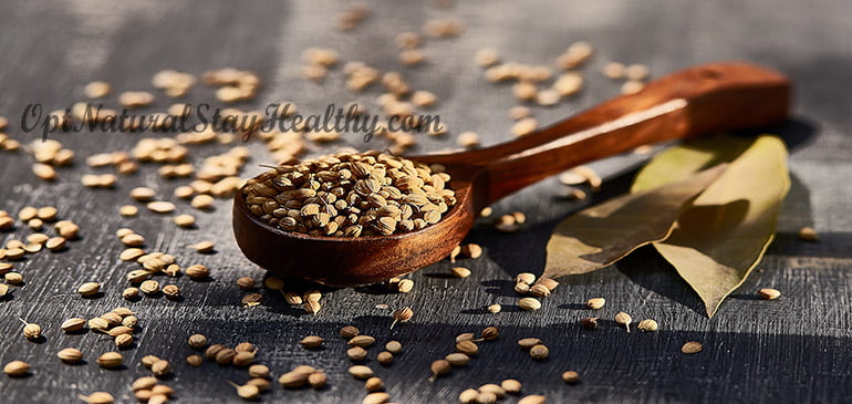 Fancy Image of Coriander