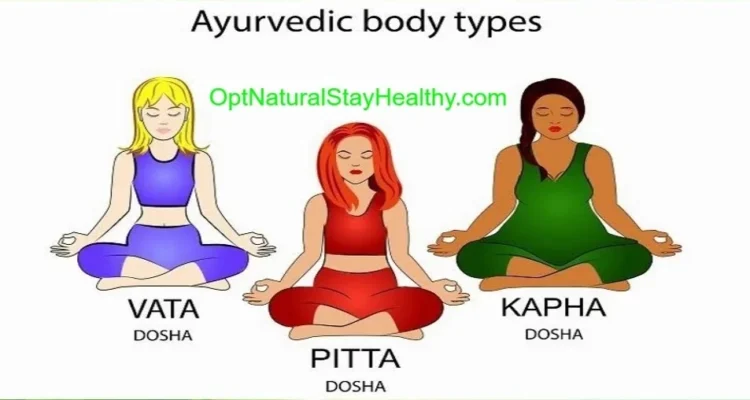 ayurveda body types vata pitta kapha