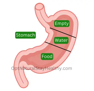 food and water ratio in ayurveda