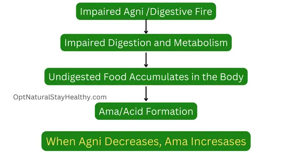 ama formation agni