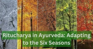 ritucharya, ritu charya, ritucharya in ayurveda, ritu charya in ayurveda, six seasons in ayurveda