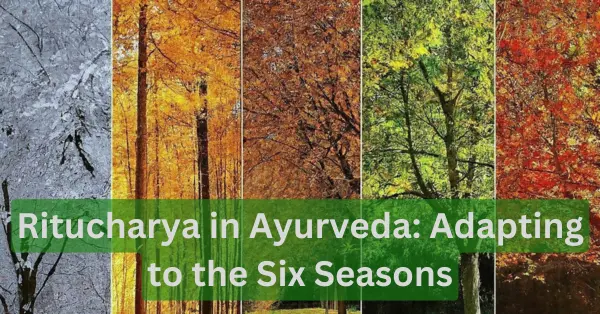 Ritucharya in Ayurveda: Adapting to the Six Seasons ritucharya, ritu charya, ritucharya in ayurveda, ritu charya in ayurveda, six seasons in ayurveda
