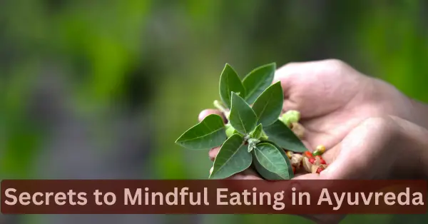 Secrets to Mindful Eating in Ayuvreda mindul eating in ayurveda, conscious eating in ayurveda