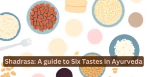 shadrasa six tastes in ayurveda, six rasa in ayurveda