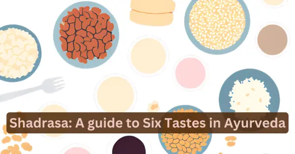 Shadrasa: A guide to Six Tastes of Ayurveda shadrasa six tastes in ayurveda, six rasa in ayurveda