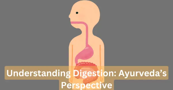 Understanding digestion: Ayurveda’s Perspective digestion in ayurveda, pachan in ayurveda