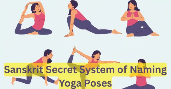 How Asanas Get Their Names: Yoga Sanskrit Secrets feature image for the blog named how asanas get their names in sanskrit
