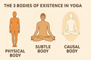 3 bodies of existence in yoga, subtle body, causal body, gross body