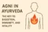 agni in ayurveda, digestive fires in ayurveda