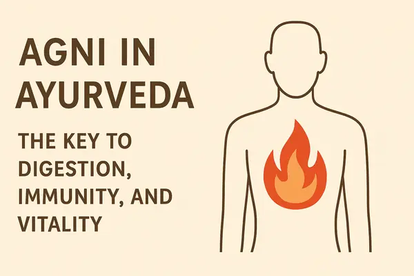 Agni in Ayurveda: The Key to Digestion, Immunity, and Vitality agni in ayurveda, digestive fires in ayurveda